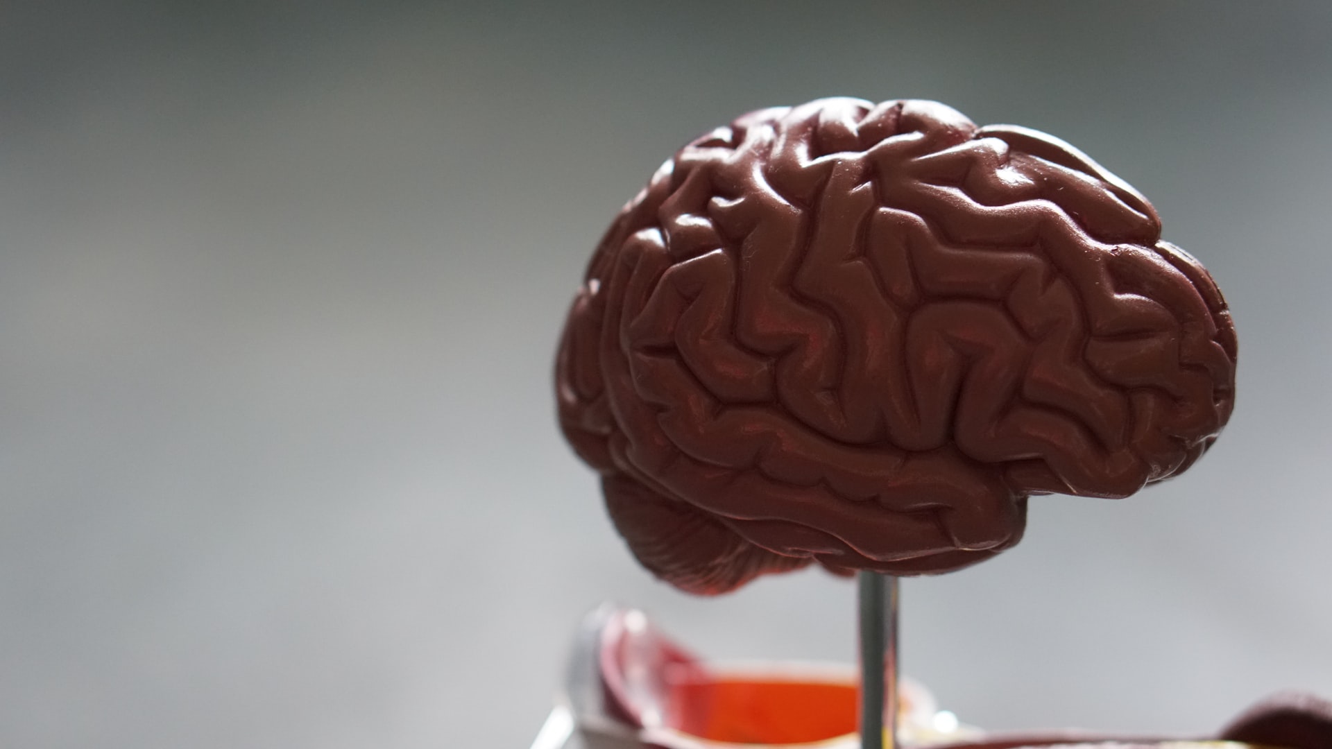 How to Optimize Your Brain Power